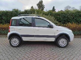 Fiat Panda 1.2 Climbing 4x4 picture 13