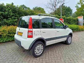 Fiat Panda 1.2 Climbing 4x4 picture 3