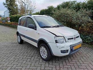 Fiat Panda 1.2 Climbing 4x4 picture 3