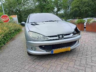 Peugeot 206 1.4 Quiksilver picture 18