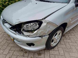 Peugeot 206 1.4 Quiksilver picture 15