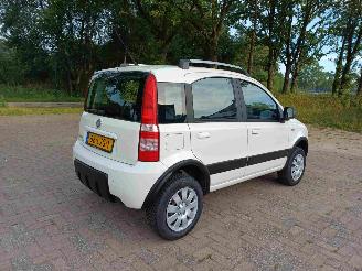 Fiat Panda 1.2 Climbing 4x4 picture 5