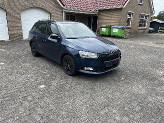 Skoda Fabia 1.0 tsi picture 7