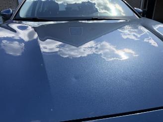 Ford Focus  picture 46