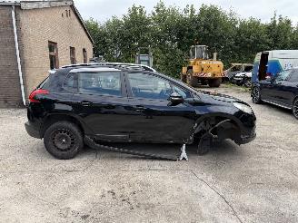 Peugeot 2008  picture 6