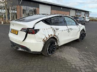 Tesla Model Y 58 kWh picture 3