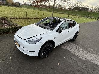 Tesla Model Y 58 kWh picture 7