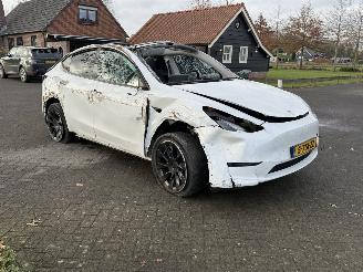 Tesla Model Y 58 kWh picture 2