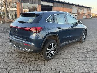 Mercedes EQA 250 / Automaat / Leer / Navi picture 3
