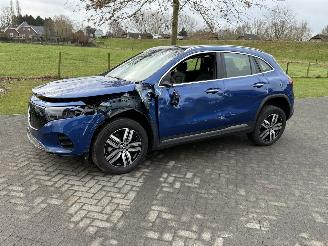 škoda osobní automobily Mercedes EQA 71KWH EQA 250+ LUXURY LINE / Pano / Leer 2025/1