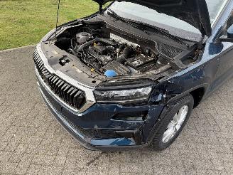 Skoda Karoq Ambition TSI picture 7