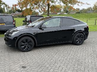 skadebil auto Tesla Model Y Long range 75 kWh / Panorama / Leer 2024/12