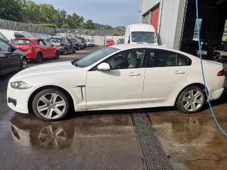 krockskadad bil auto Jaguar XF XF (CC9), Sedan, 2008 / 2015 2.2 D S200 16V 2013/1