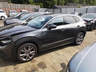 Mazda CX-30 CX-30 (DM), SUV, 2019 1.8 Skyactiv D 116 16V picture 2