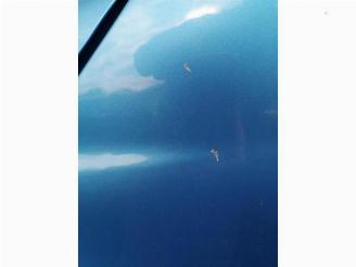 Ford Ka Ka II, Hatchback, 2008 / 2016 1.2 picture 11