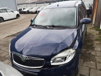 Skoda Roomster Roomster (5J), MPV, 2006 / 2015 1.4 16V picture 13