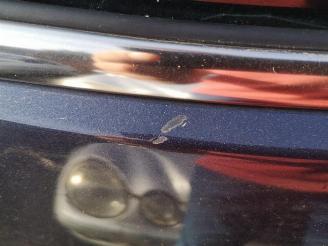 Citroën C4-picasso C4 Picasso (UD/UE/UF), MPV, 2007 / 2013 2.0 HDiF 16V 165 picture 23