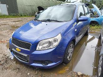 Damaged car Chevrolet Aveo Aveo 1.2 16V LS 2008/1