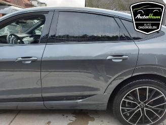 Audi E-tron E-tron Sportback (GEA), SUV, 2019 50 picture 6