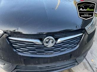 Opel Crossland Crossland (X), SUV, 2017 1.2 12V picture 19