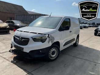 Opel Combo Combo Cargo, Van, 2018 1.5 CDTI 100 picture 4