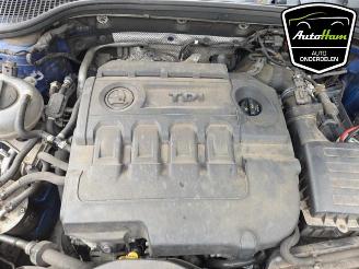 Skoda Octavia Octavia Combi (5EAC), Combi 5-drs, 2012 / 2020 1.6 TDI Greenline 16V picture 19