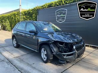 Skoda Kamiq Kamiq, SUV, 2019 1.0 TSI 12V picture 2