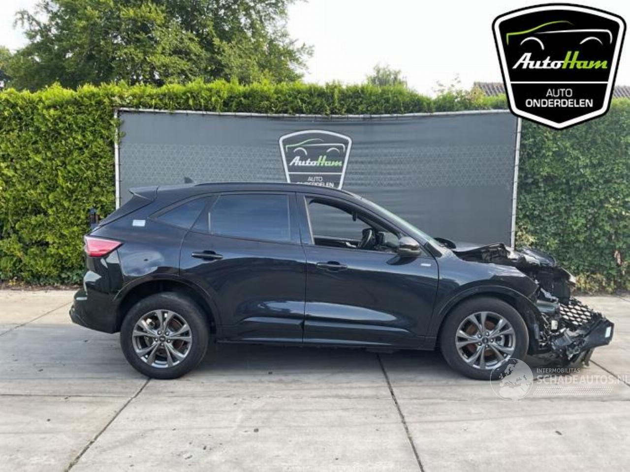 Ford Kuga Kuga III (DFK), SUV, 2019 2.5 PHEV 16V