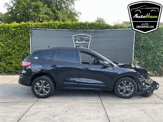Coche siniestrado Ford Kuga Kuga III (DFK), SUV, 2019 2.5 PHEV 16V 2023/6