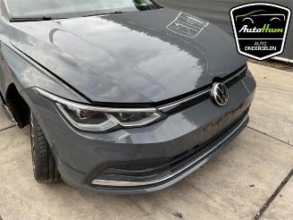 Volkswagen Golf Golf VIII (CD1), Hatchback, 2019 1.5 TSI BlueMotion 16V picture 3