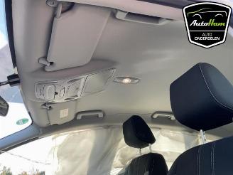 Ford C-Max C-Max (DXA), MPV, 2010 / 2019 1.6 SCTi 16V picture 26