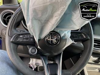 Alfa Romeo Stelvio Stelvio (949), SUV, 2017 2.0 T 16V Q4 picture 14