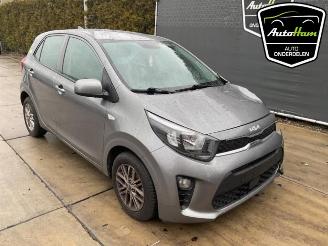 Kia Picanto Picanto (JA), Hatchback, 2017 1.0 DPI 12V picture 2