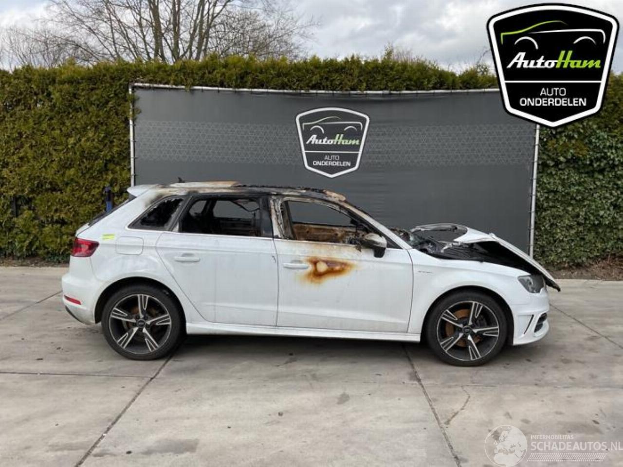 Audi A3 A3 Sportback (8VA/8VF), Hatchback 5-drs, 2012 / 2020 1.4 TFSI 16V e-tron