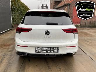 Volkswagen Golf Golf VIII (CD1), Hatchback, 2019 1.5 TSI 16V picture 9