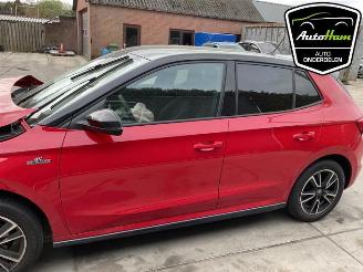 Skoda Fabia Fabia IV (PJ3), Hatchback 5-drs, 2021 1.0 TSI 12V picture 5