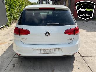 Volkswagen Golf Golf VII (AUA), Hatchback, 2012 / 2021 1.2 TSI 16V picture 23