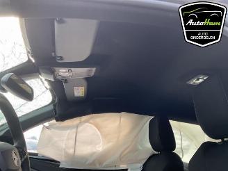 Opel Corsa Corsa F (UB/UH/UP), Hatchback 5-drs, 2019 1.2 Turbo 12V 100 Hybrid picture 22