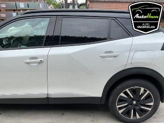Peugeot 2008 2008 (UD/UK/UR/US/UX), MPV, 2019 e-2008 50 kWh picture 7