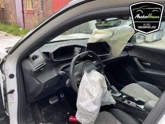 Peugeot 2008 2008 (UD/UK/UR/US/UX), MPV, 2019 e-2008 50 kWh picture 15
