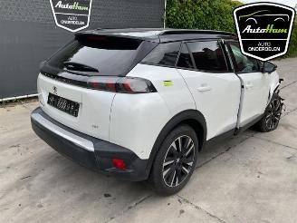 Peugeot 2008 2008 (UD/UK/UR/US/UX), MPV, 2019 e-2008 50 kWh picture 10