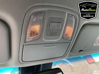 Kia Niro Niro I (DE), SUV, 2016 / 2022 E-Niro 64 kWh picture 25