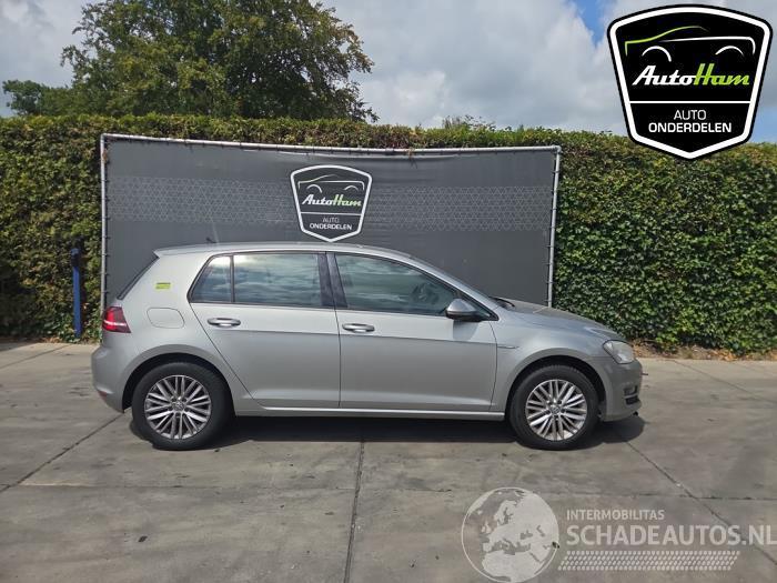 Volkswagen Golf Golf VII (AUA), Hatchback, 2012 / 2021 1.2 TSI 16V