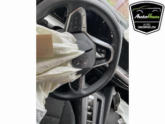 Volkswagen Golf Golf VIII (CD1), Hatchback, 2019 1.5 eTSI 16V picture 11