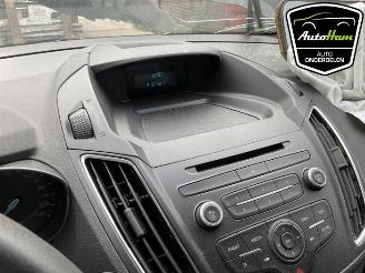 Ford C-Max C-Max (DXA), MPV, 2010 / 2019 1.0 Ti-VCT EcoBoost 12V 125 picture 20