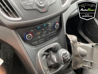 Ford C-Max C-Max (DXA), MPV, 2010 / 2019 1.0 Ti-VCT EcoBoost 12V 125 picture 21