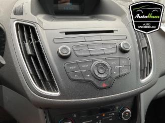 Ford C-Max C-Max (DXA), MPV, 2010 / 2019 1.0 Ti-VCT EcoBoost 12V 125 picture 22