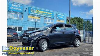 Purkuautot passenger cars Kia Picanto Picanto (JA), Hatchback, 2017 1.0 12V 2017/8
