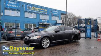 skadebil auto Jaguar XF XF (CC9), Sedan, 2008 / 2015 3.0 D V6 24V 2011/5