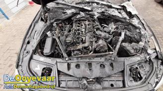 BMW 5-serie 5 serie Touring (F11), Combi, 2009 / 2017 525d 24V picture 3